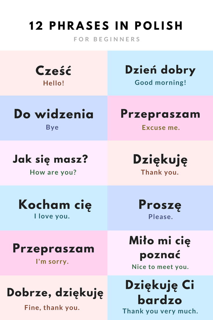 Best Polish Language Travel Phrases